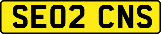 SE02CNS