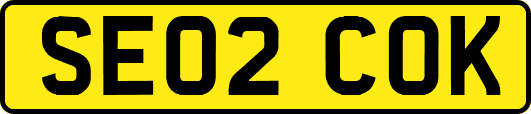 SE02COK