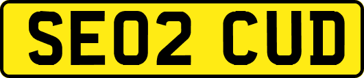SE02CUD