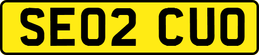 SE02CUO