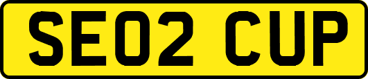 SE02CUP