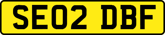 SE02DBF
