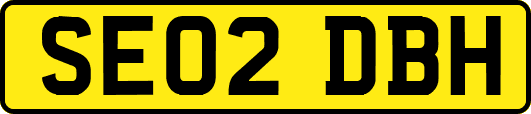 SE02DBH