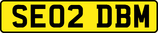 SE02DBM
