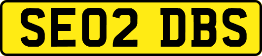 SE02DBS