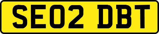 SE02DBT