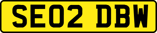 SE02DBW