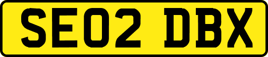 SE02DBX