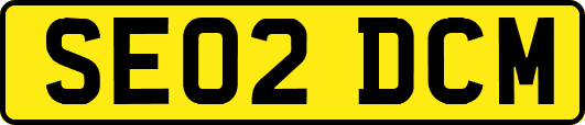 SE02DCM