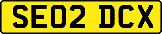 SE02DCX