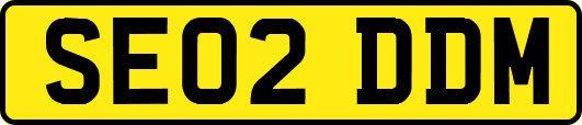 SE02DDM