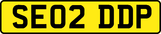 SE02DDP