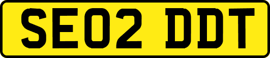 SE02DDT