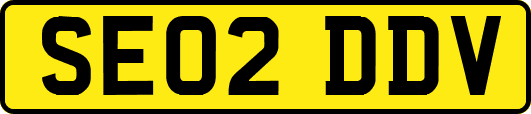 SE02DDV