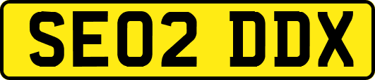 SE02DDX