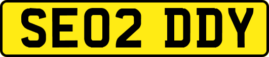SE02DDY