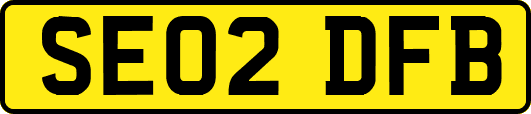 SE02DFB