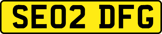 SE02DFG