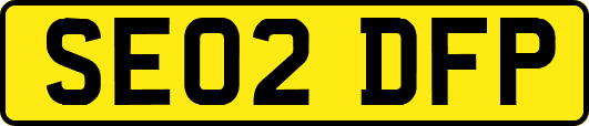 SE02DFP