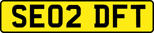 SE02DFT