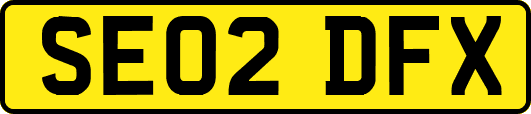SE02DFX