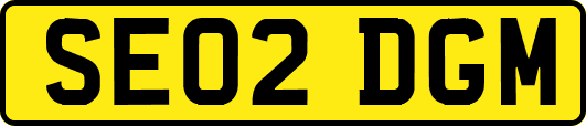 SE02DGM