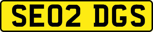 SE02DGS