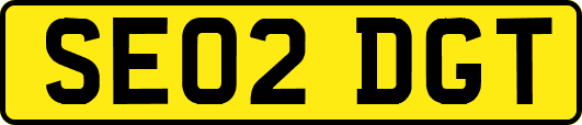 SE02DGT