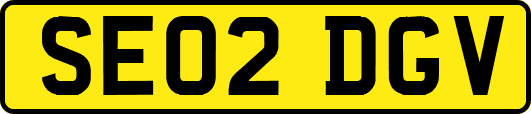 SE02DGV
