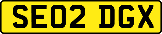 SE02DGX