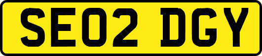 SE02DGY