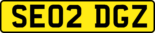 SE02DGZ
