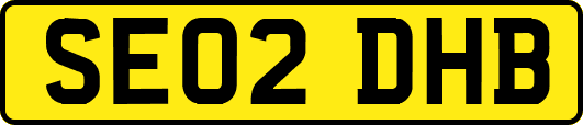 SE02DHB