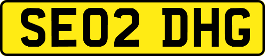 SE02DHG