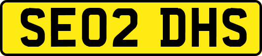 SE02DHS