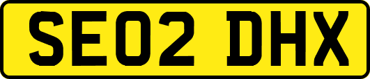 SE02DHX