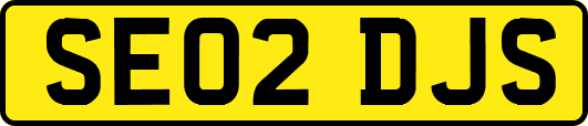 SE02DJS