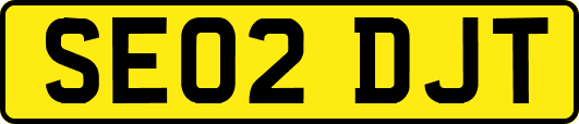 SE02DJT