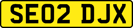 SE02DJX