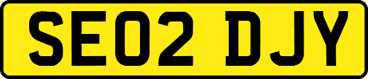 SE02DJY