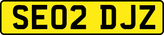 SE02DJZ