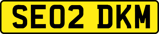 SE02DKM