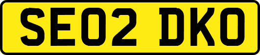 SE02DKO
