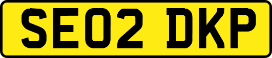 SE02DKP
