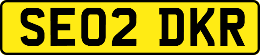 SE02DKR