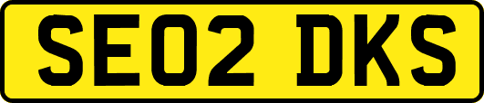 SE02DKS