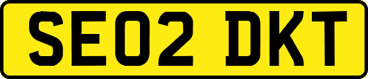 SE02DKT
