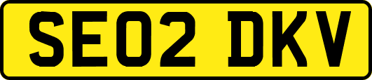 SE02DKV