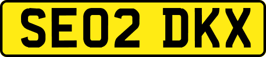SE02DKX