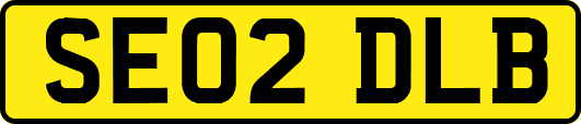 SE02DLB